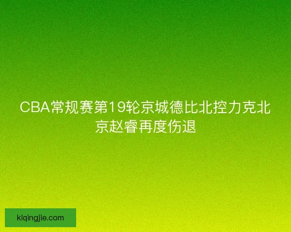 CBA常规赛第19轮京城德比北控力克北京赵睿再度伤退 CBA常规赛第19轮京城德比北控力克北京赵睿再度伤退