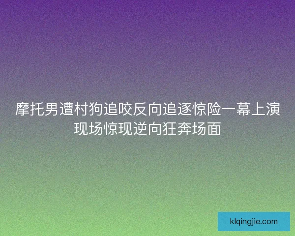 摩托男遭村狗追咬反向追逐惊险一幕上演现场惊现逆向狂奔场面 摩托男遭村狗追咬反向追逐惊险一幕上演现场惊现逆向狂奔场面