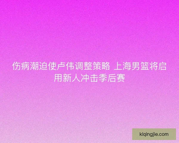 伤病潮迫使卢伟调整策略 上海男篮将启用新人冲击季后赛